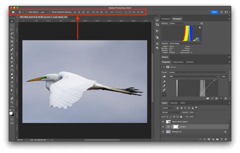 Photoshop Rectangle Tool Options Bar